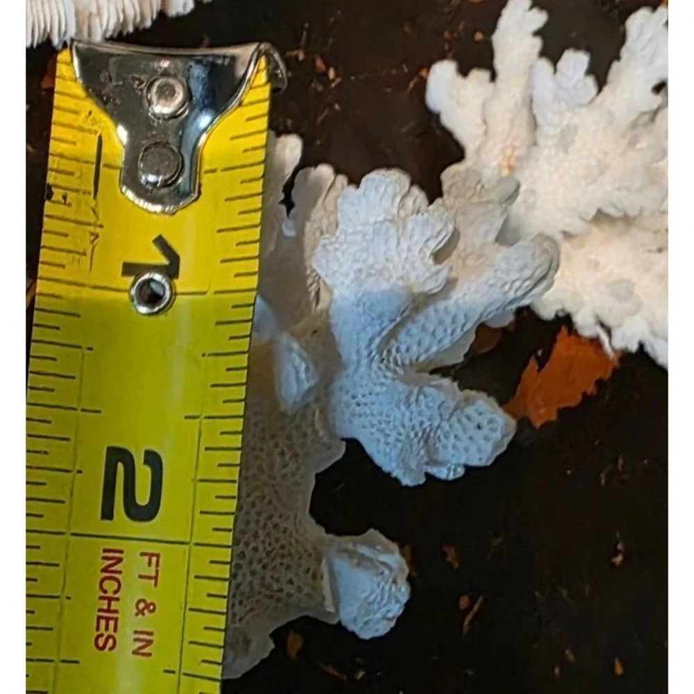 Natural Coral Specimen Trio For Home Décor 2